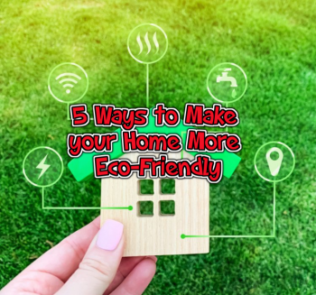 5 Easy Eco Friendly House Tips - Real Estate Info