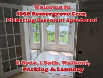 Blog 1565 Somergrove Cres Pickering Basement